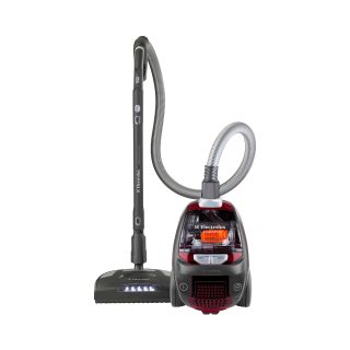 ELECTROLUX Ultra Active Bagless Canister Vacuum