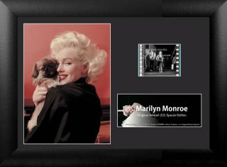 Marilyn Monroe (S3) MGC Minicell