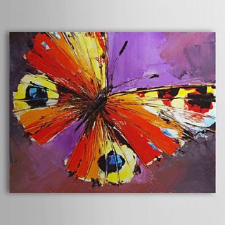 Hand Painted Oil Painting Animal Butterfly with Stretched Frame 1309 AN1016