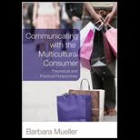 Communicating With the Multicultural Consumer  Theoretical and Practical Perspectives
