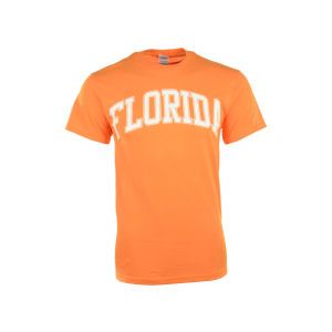 Florida Gators J America NCAA Identity Arch T Shirt