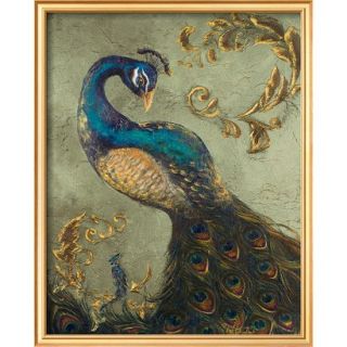 Art   Peacock on Sage II Framed Print