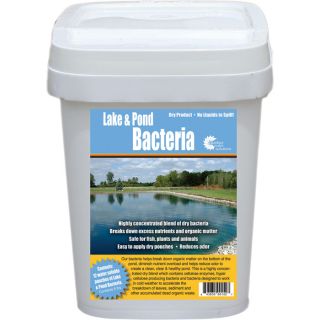 Outdoor Water Solutions Water Clearing Bacteria   24 Pack, 8oz. Pouches, Model