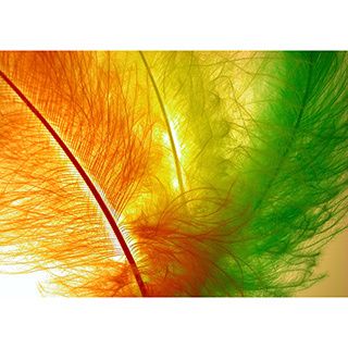 Decoration Feather Abstract Canvas Wall Art