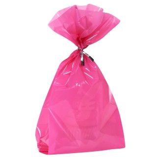 Hot Pink Treat Bags