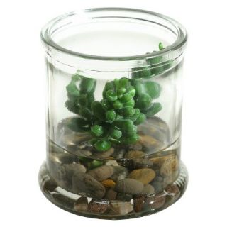 Small Donkey Tail in Candle Jar