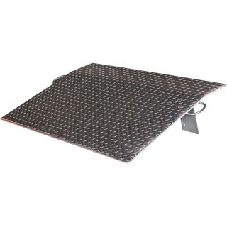 Vestil Economizer Dockplate   Aluminum, 5900 lb. Capacity, 48 Inch L x 72 Inch