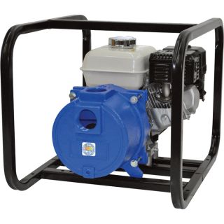 IPT Cast Iron Trash Pump   2 Inch Ports, 10,500 GPH, 1 Inch Solids Capacity,