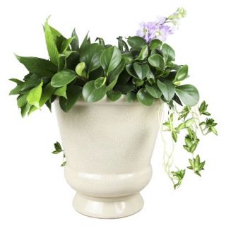 Threshold Belville Urn   White