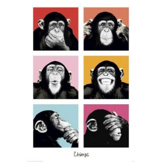 Art   The Chimp   Pop Poster