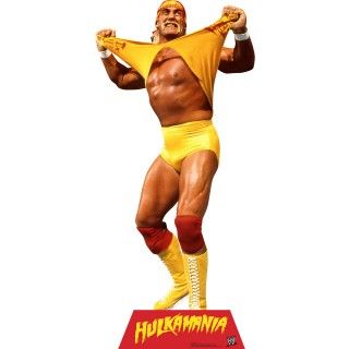 WWE Party   Hulk Hogan Standup