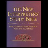 New Interpreters Study Bible Illustrated