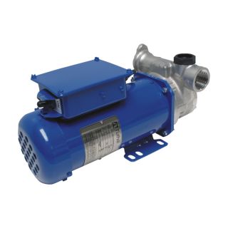 Fill Rite DEF Transfer Pump with BSPP Ports   8 GPM, 12V, Model FRSD120800MN