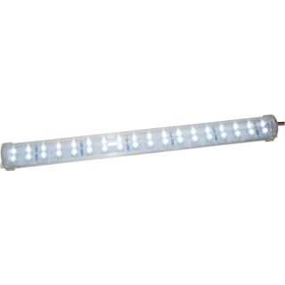 Phoenix USA 12 Volt LED Light Strip   12 Inch x 1 1/8 Inch, Model #DLF122LC