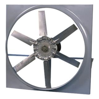 Canarm Direct Drive Wall Fan with Cabinet, Back Guard and Shutter   30 Inch, 13,