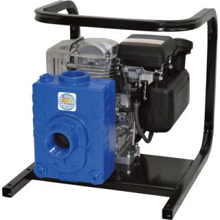 IPT Cast Iron Ag/Water Pump   Honda GC160 Engine, 2 Inch Ports, Model 2AG5QCV
