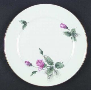 Stonegate Sonata Dinner Plate, Fine China Dinnerware   Pink Roses, Green &  Gray