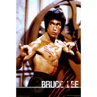 Art   Bruce Lee Poster