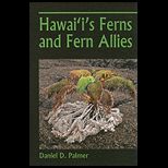Hawaiis Ferns and Fern Allies