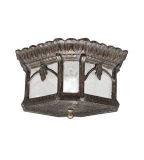 Tournai 2 Light Outdoor Ceiling Lights in Londonderry 9854LD