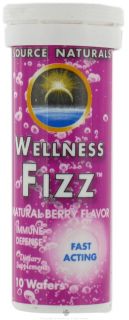 Source Naturals   Wellness Fizz Natural Berry Flavor   10 Wafers