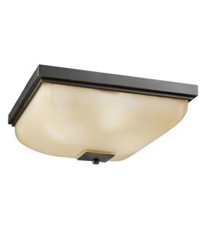 Outdoor Miscellaneous 4 Light Flush Mounts in Olde Bronze 7011OZ