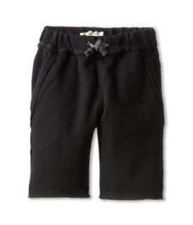 Appaman Kids Super Soft Cotton Jersey Brighton Shorts Boys Shorts (Black)