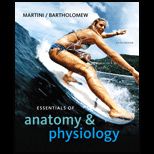 Essentials of Anatomy and Physiology   With CD