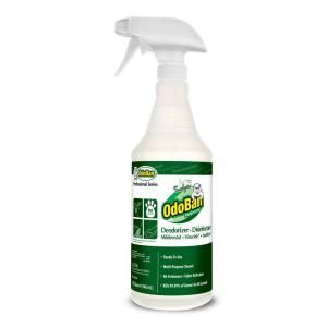 OdoBan 32 oz. Ready to Use Eucalyptus Deodorizer and Disinfectant (Case of 12) 910062 Q