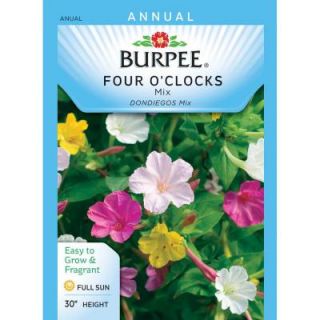 Burpee Four OClock Mix Flower Seed 43786