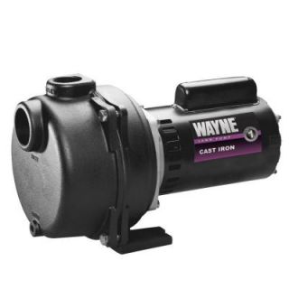 Wayne 2 HP Permanent Lawn Sprinkler Pump WLS200