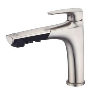 Danze Taju Single Handle Pull Out Sprayer Kitchen Faucet in Stainless Steel D456710SS
