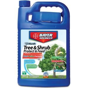 Bayer Advanced 1 gal. Concentrate Tree/Shrub Protect and Feed 701615A