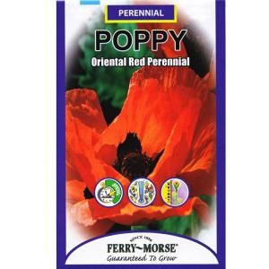 Ferry Morse Poppy Oriental Red Perennial Seed 1127