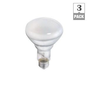 Philips 45 Watt Halogen BR30 Duramax Flood Light Bulb (3 Pack) 223032