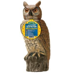 18.5 in. H Dalen Products SOL R Action Owl SRHO 1