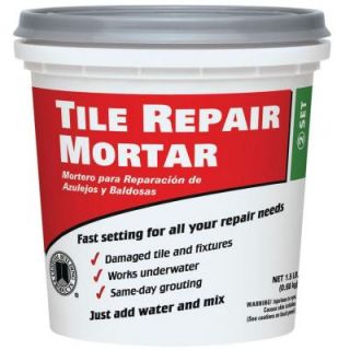 Custom Building Products White 1.5 lb. Tile Repair Mortar TRMW1