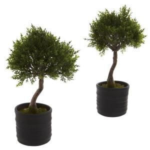 Nearly Natural Cedar Bonsai Trees with Planter (Set of 2) 4965 S2