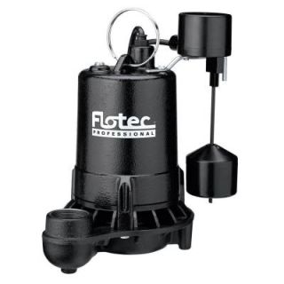 Flotec 1/2 HP Cast Iron Sump with Vertical Float Switch E50VLT
