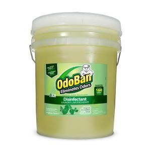 OdoBan 5 gal. Concentrate Eucalyptus Disinfectant Laundry and Air Freshener 911061 5G