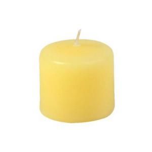 Zest Candle 1.5 in. 15 Hour Ivory Votive Candles (36 Box) CVZ 004