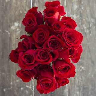 The Bouqs Company Depth Deluxe Red Rose Flower Bouquet