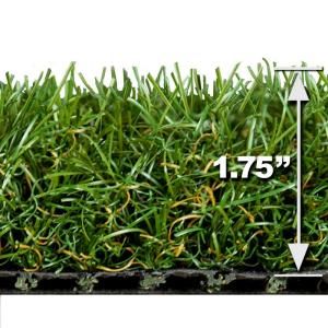 Turf Evolutions Luxurious Indoor Outdoor Landscape Artificial Synthetic Lawn Turf Grass Carpet,15 ft. x Your Length($3.99/sq.ft. Equiv) Tan15