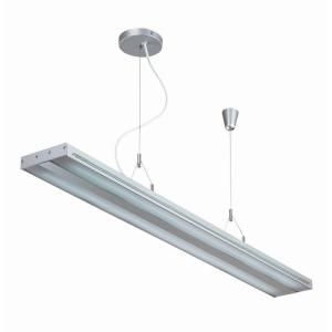 Illumine Designer Collection 2 Light Clear Ceiling Light with Acrylic Shade CLI LS 19689SILV