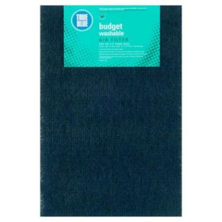 True Blue 20 in. x 30 in. x 1 in. Budget Washable Filter 0120301.1