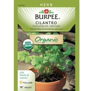 Burpee Cilantro Organic Seed 60003