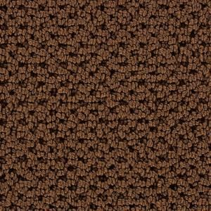Martha Stewart Living Mount Vernon   Color Nutmeg 12 ft. Carpet 896HDMS215