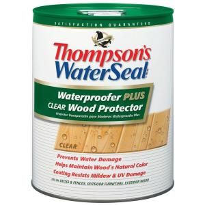 Thompsons WaterSeal 5 gal. Waterproofer Plus Clear Wood Protector 11805
