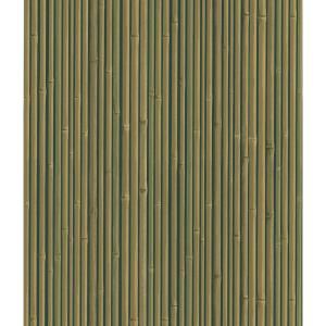 National Geographic 8 in. W x 10 in. H Bamboo Wallpaper Sample 405 49457SAM