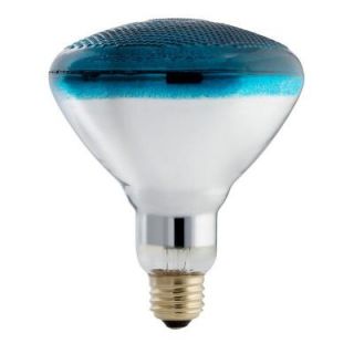 Philips Autism Speaks 100 Watt Incandescent BR38 Flood Light Bulb   Blue 385328
